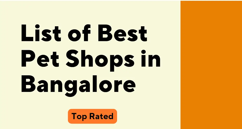 Best Pet Shops in Bangalore